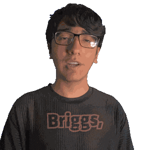 Briggs Sticker