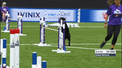 Happy Espn GIF by American Kennel Club