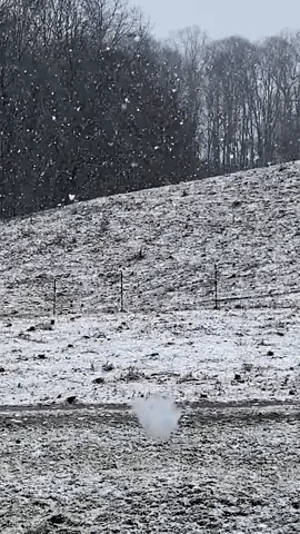 Wintry Scenes in North Carolina as Rain Forecasted for Region
