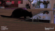 season 1 lol GIF