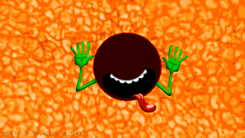 orange GIF