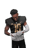Ncaa Football Sticker by UCF Knights
