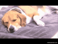 diarrhea GIF