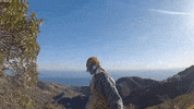 Elevate GIF by 347aidan