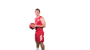 Euro League Sport Sticker by FC Bayern Basketball