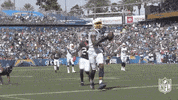 Regular Season Football GIF by NFL