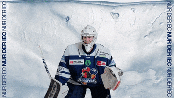 Hockey Tor GIF by Iserlohn Roosters