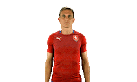 Czech Republic Ceskarepre Sticker by 2score