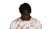 Look Up Rb Leipzig Sticker by Bundesliga