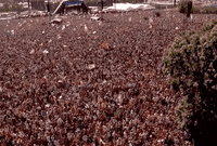 crowd glastonbury2019 GIF by Glastonbury Festival