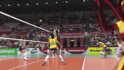 Brazil Hit GIF by Volleyball World