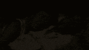 das erste serie GIF by Lindenstrasse