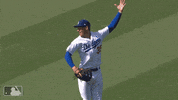 pederson celebrate GIF by MLB
