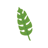 leaf Sticker by Vita Coco