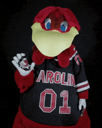 Mascot Hello GIF by University of South Carolina