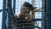 ex on the beach vacation GIF by MTV Nederland