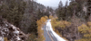 new mexico GIF