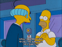 homer simpson episode 21 GIF