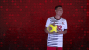 Wolves GIF by Newberry Athletics