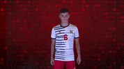 Wolves GIF by Newberry Athletics