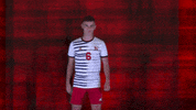 Wolves GIF by Newberry Athletics