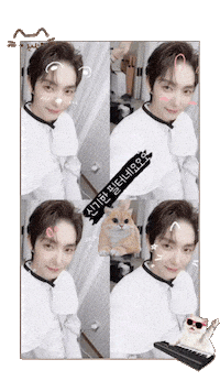 Lee Joon Gi Cat Sticker