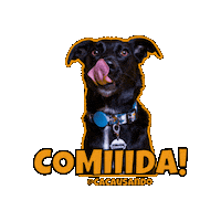 Cacausando comida cachorro fome cachorros Sticker