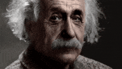 albert einstein GIF