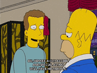 homer simpson GIF