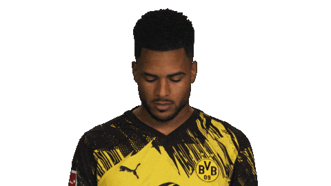 Borussia Dortmund Sticker by Bundesliga