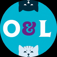 oscarandlibbys cats oscarandlibbys oscar and libbys GIF