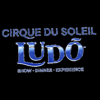 vidantaworld cirque du soleil Ludo vidanta vidantaworld GIF