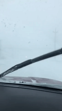 Motorists Navigate White-Out Blizzard Before Roads Close in St John's
