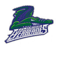 FloridaEverblades goal naples echl fort myers Sticker
