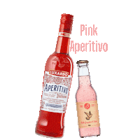 Granikal pink aperitivo spritz luxardo Sticker