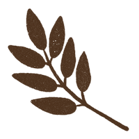 Fall Autumn Sticker by Daniela Nachtigall