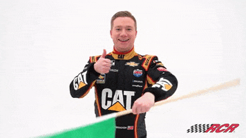 Green Flag Cat GIF by Richard Childress Racing