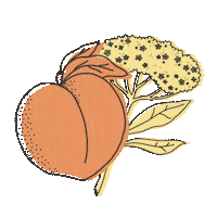 Flowers Orange Sticker by The Strait & Narrow