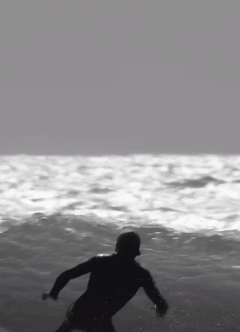 Leonardo Fioravanti Surfing GIF by Euroglass