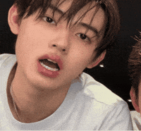 코르티스 GIF
