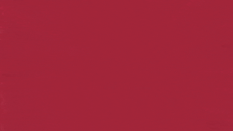 Charroslmb2025 GIF by Charros de Jalisco