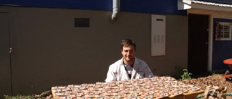 chain GIF