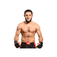 Mixed Martial Arts Mma Sticker by BRAVE Combat Federation