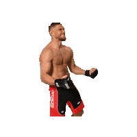 Mma Louis Sticker by BRAVE Combat Federation