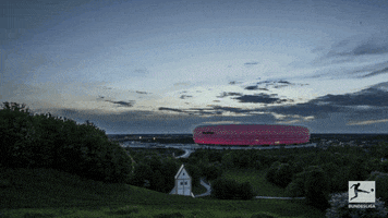 fc bayern football GIF by Bundesliga