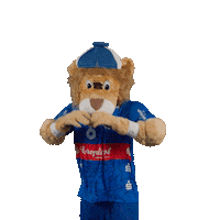Handball Mascot Sticker by bergischerhc06