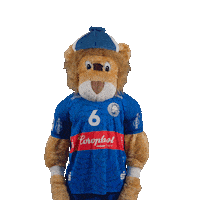 Handball Mascot Sticker by bergischerhc06