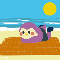 Happy Summer GIF by Finch Care