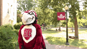 Hey You Point GIF by Roanoke College