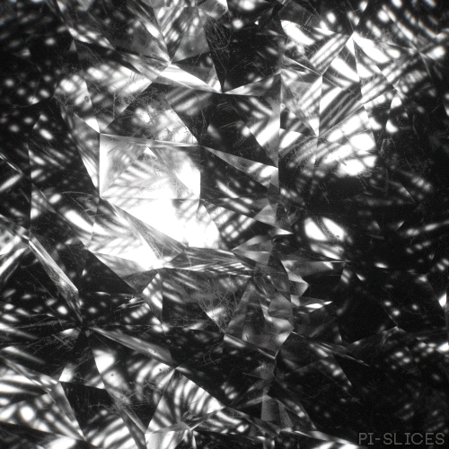 Conceal Black And White GIF by Pi-Slices